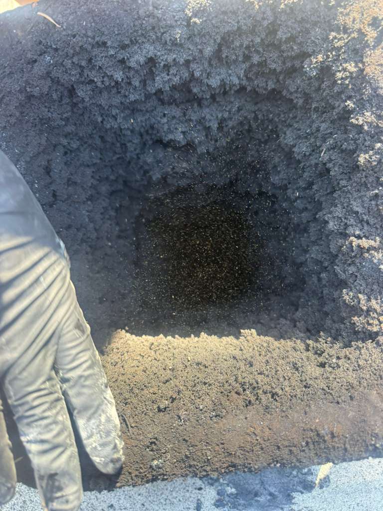 Flue walls cleaned back to bare masonry after treatment and mechanical sweeping